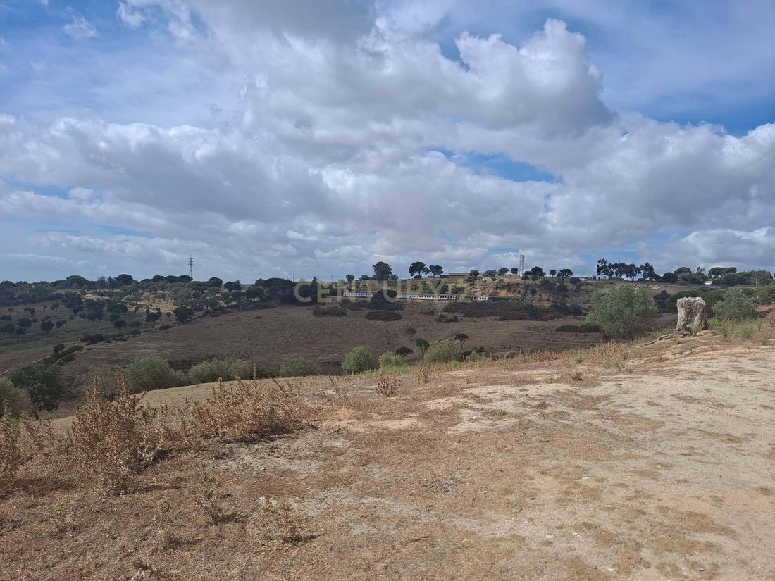 Land in Azambuja, Lissabon, Portugal 5 - 13501440