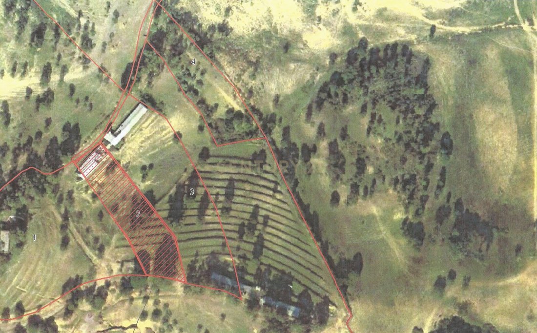 Land in Azambuja, Lissabon, Portugal 2 - 13501440