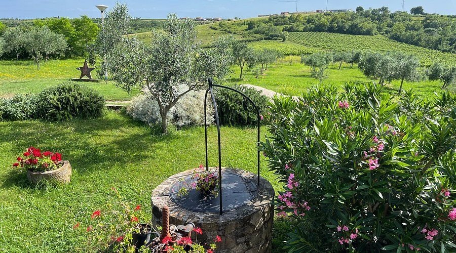 Buje, Istria County, Croatia 5 - 15340072