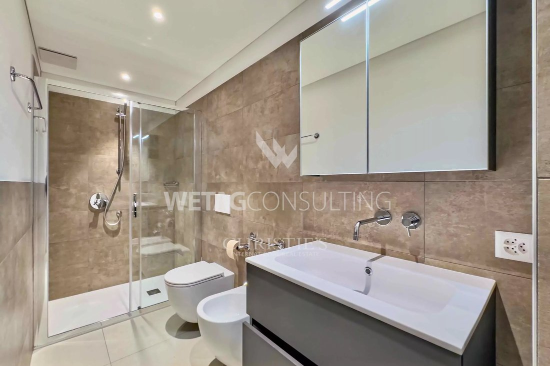 Apartment in Ascona, Ticino, Switzerland 5 - 15336481