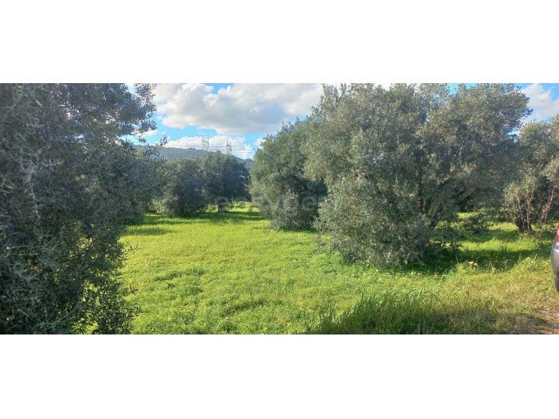 Land in Vila Franca de Xira, Lissabon, Portugal 2 - 15342989