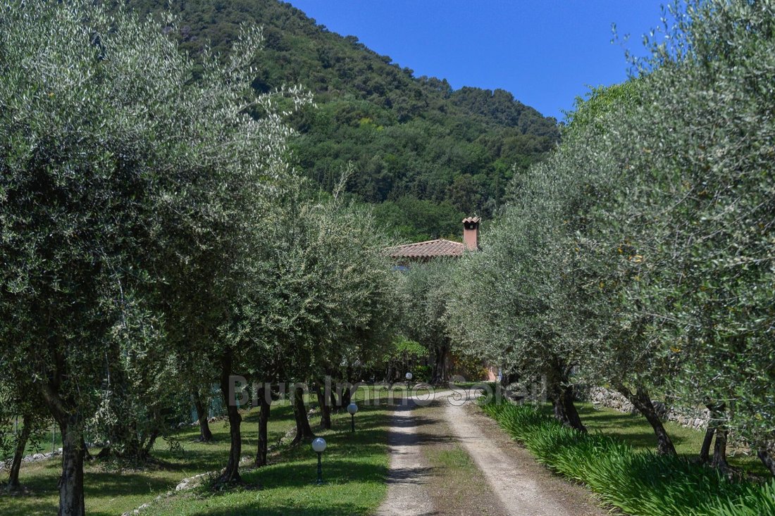 Villa in Grasse, Provence-Alpes-Côte d'Azur, France 3 - 15342061