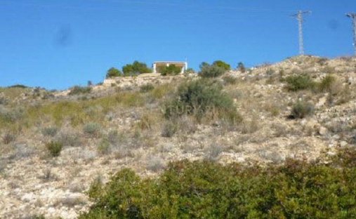 Azienda agricola a Sant Vicent del Raspeig, Comunità Valenzana, Spagna 1