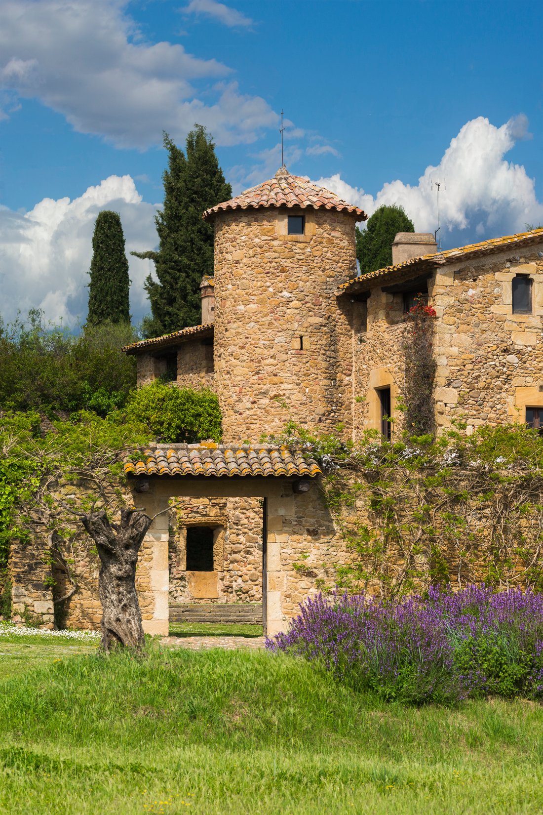 Chateau in la Bisbal d'Emporda, Catalonia, Spain 3 - 15341785