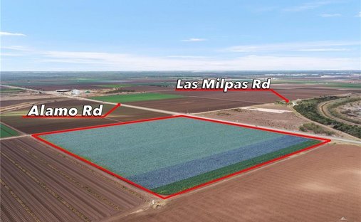 Land in Alamo, Texas, United States 1