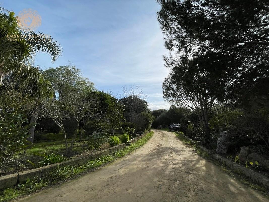 Specchia, Apulia, Italy 4 - 15345107