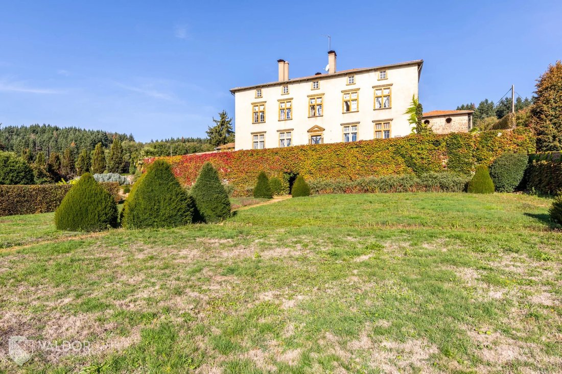 Estate in Centre, Amplepuis, France 3 - 15344557
