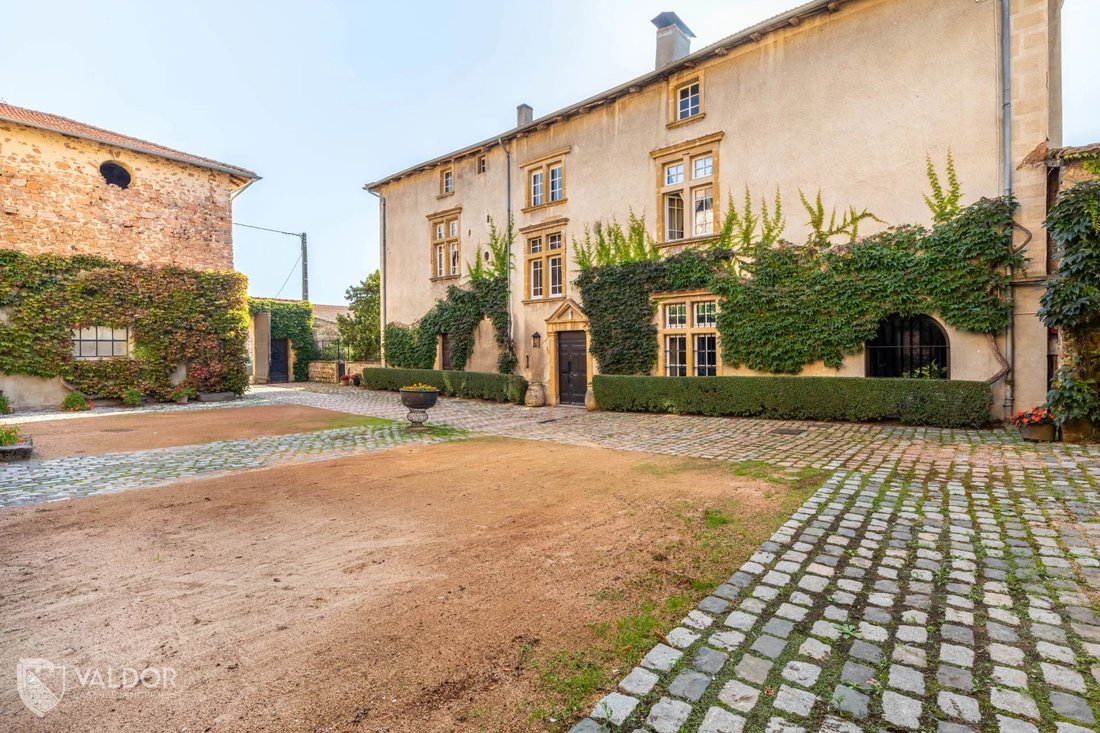 Estate in Centre, Amplepuis, France 2 - 15344557