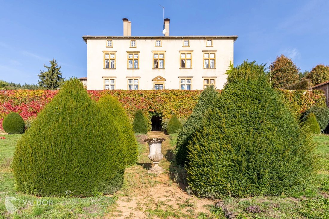 Estate in Centre, Amplepuis, France 4 - 15344557
