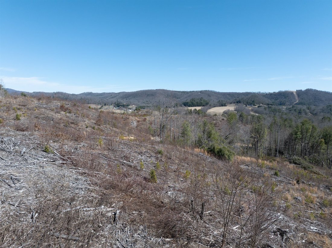 Land in Hendersonville, North Carolina, United States 4 - 15345767