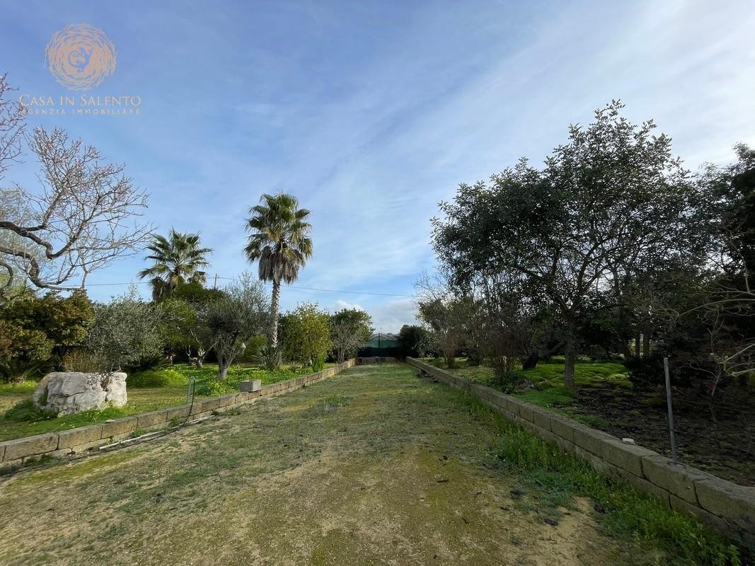 Specchia, Apulia, Italy 5 - 15345107