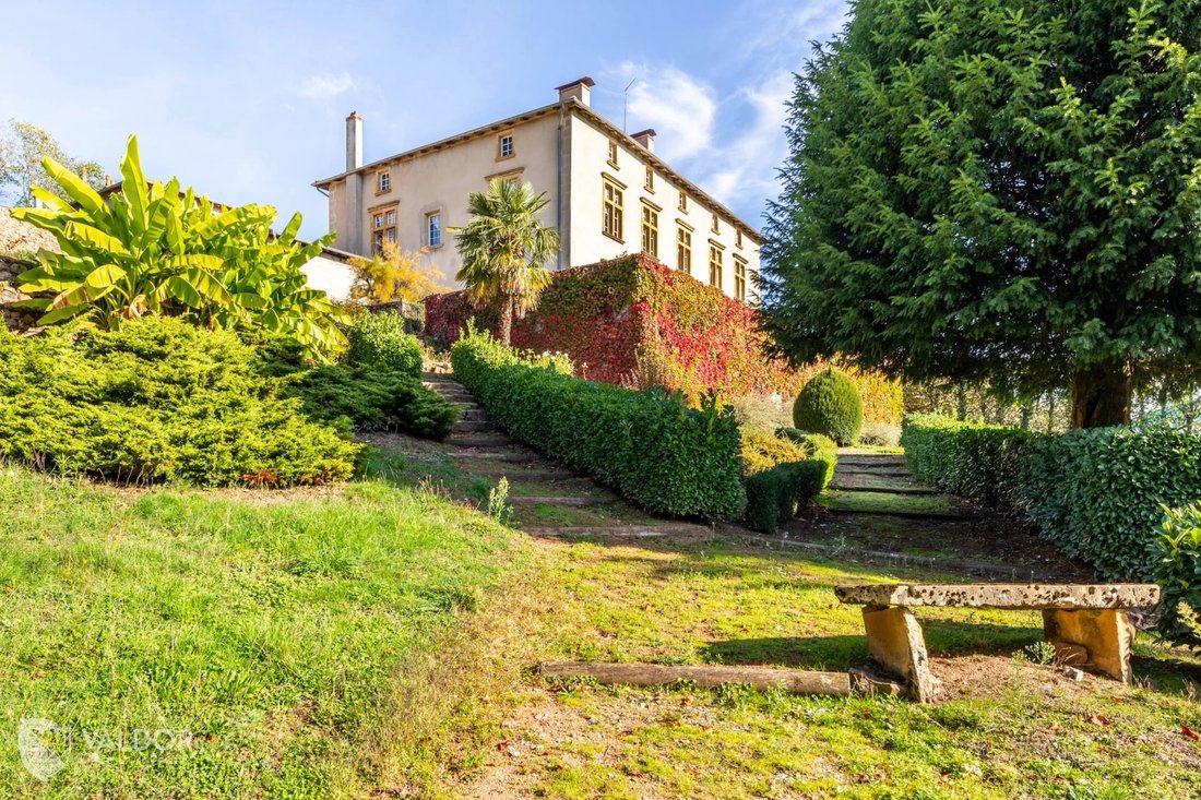 Estate in Centre, Amplepuis, France 1 - 15344557