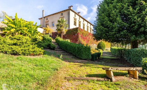 Estate in Centre, Amplepuis, France 1