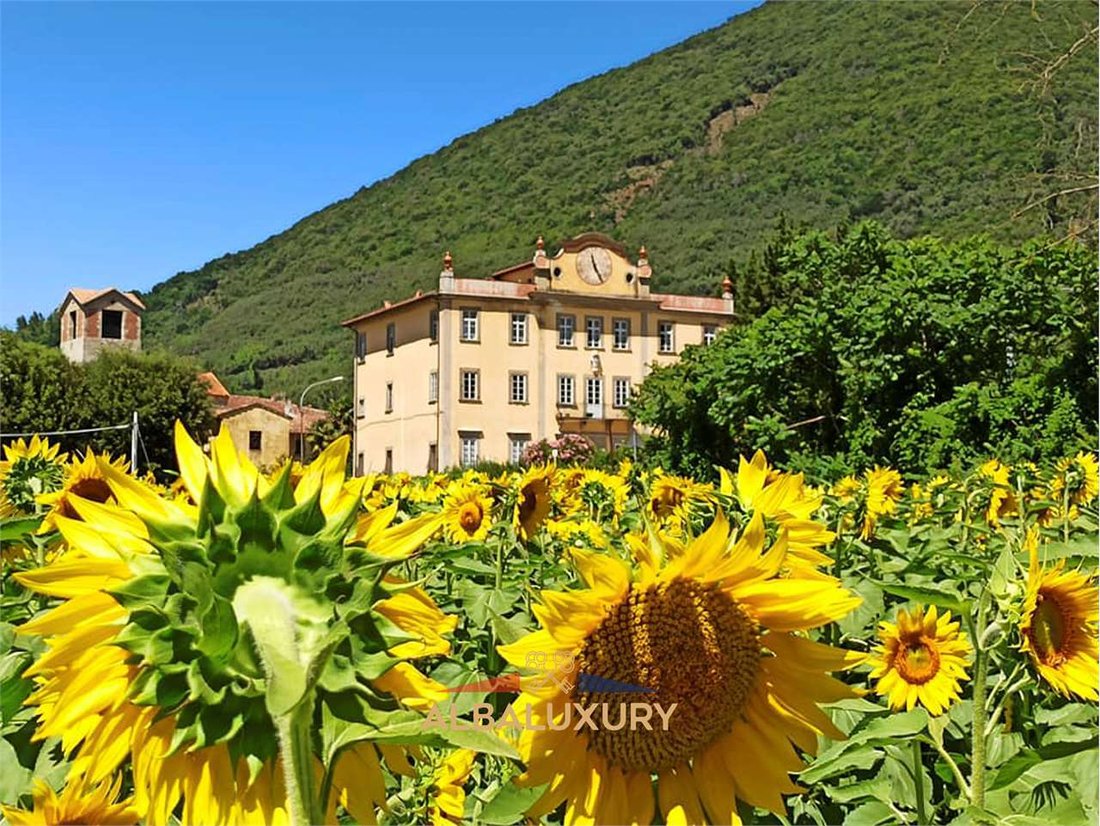 Villa a San Giuliano Terme, Toscana, Italia 3 - 15347206