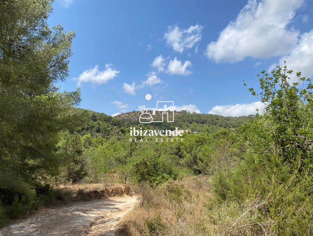 Villa in Sant Antoni de Portmany, Balearic Islands, Spain 1 - 15347821