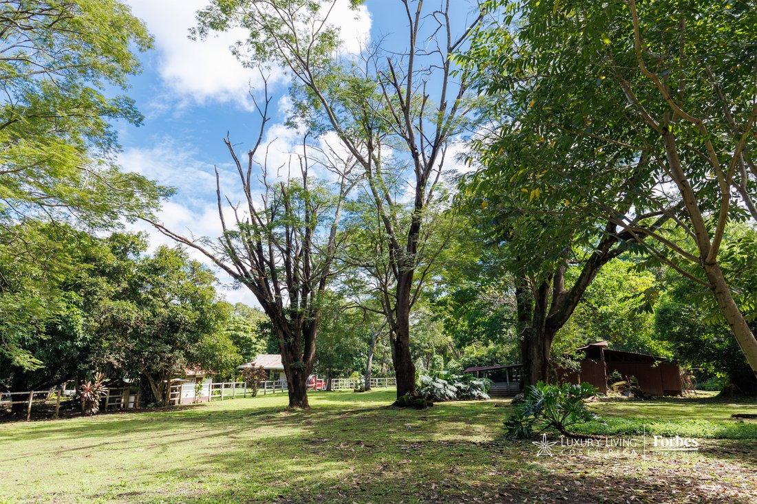 Country House in Salitral, San José Province, Costa Rica 5 - 15351620