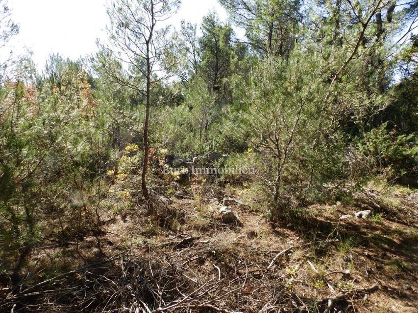 Land in Dubrava kod Sibenika, Sibenik-Knin County, Croatia 4 - 15351796
