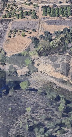 Farm Ranch in Marmelete, Algarve, Portugal 5 - 15350765
