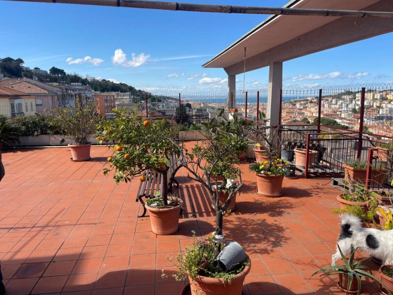 Thumbnail for Penthouse Sales In Ancona