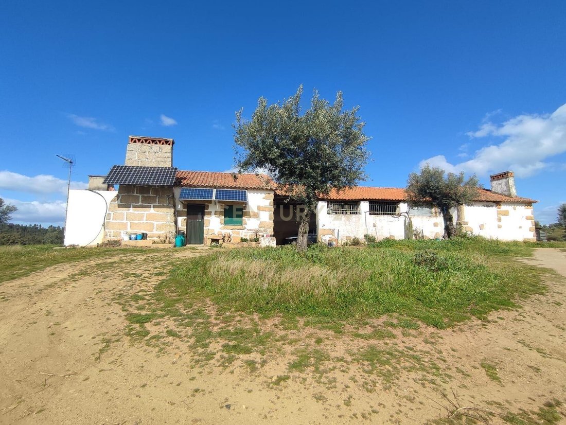 Farm Ranch in Escalos de Baixo, Castelo Branco, Portugal 2 - 14079750