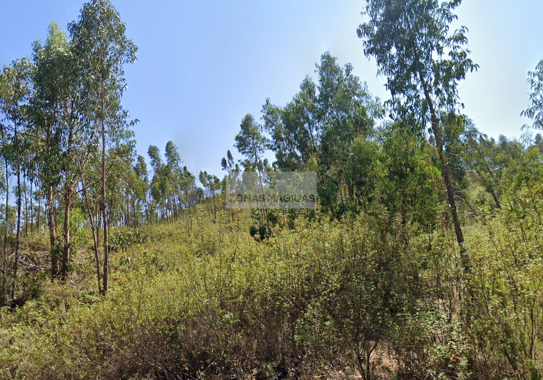 Farm Ranch in Marmelete, Algarve, Portugal 3 - 15350765