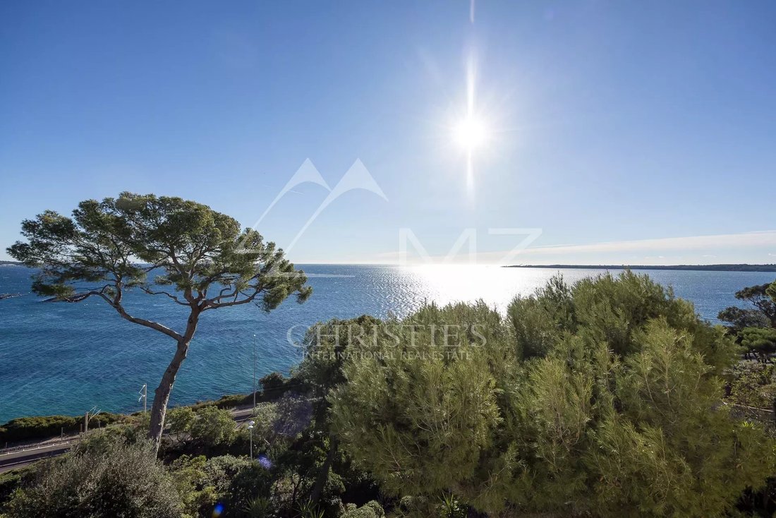 Appartamento a Cannes, Provenza-Alpi-Costa Azzurra, Francia 3 - 13615055