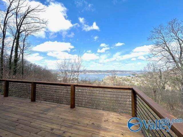 House in Guntersville, Alabama, United States 5 - 15058906