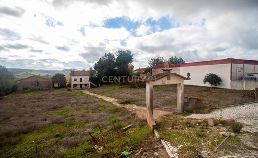 Land in Freiria, Lissabon, Portugal 1