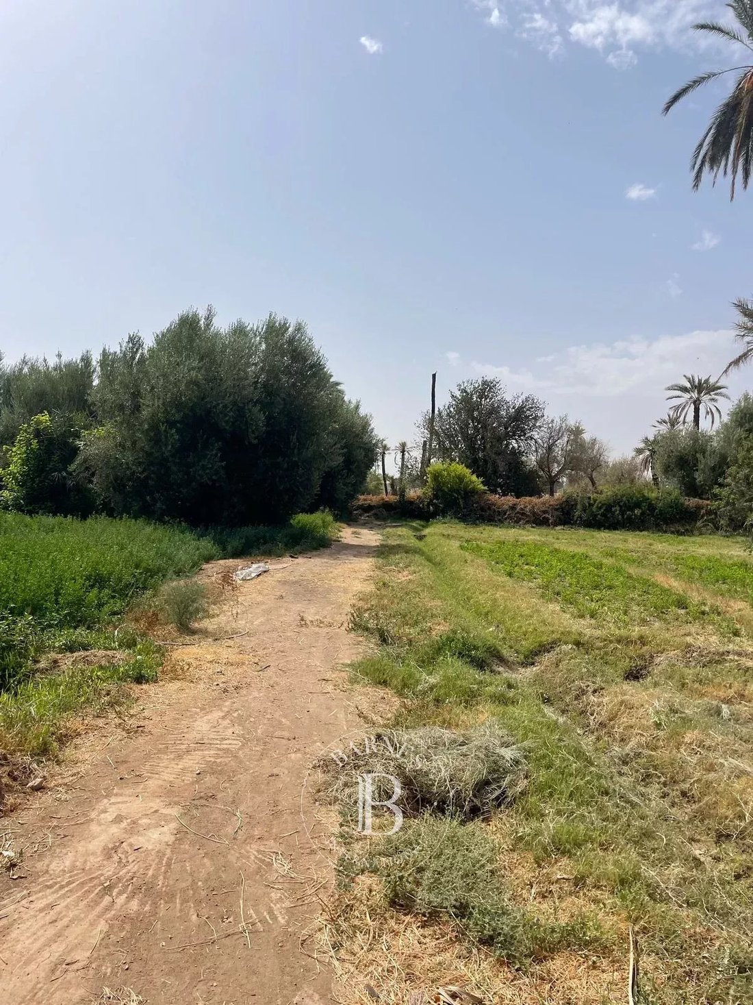 Land in Menara, Marrakesh-Safi, Morocco 2 - 14766424
