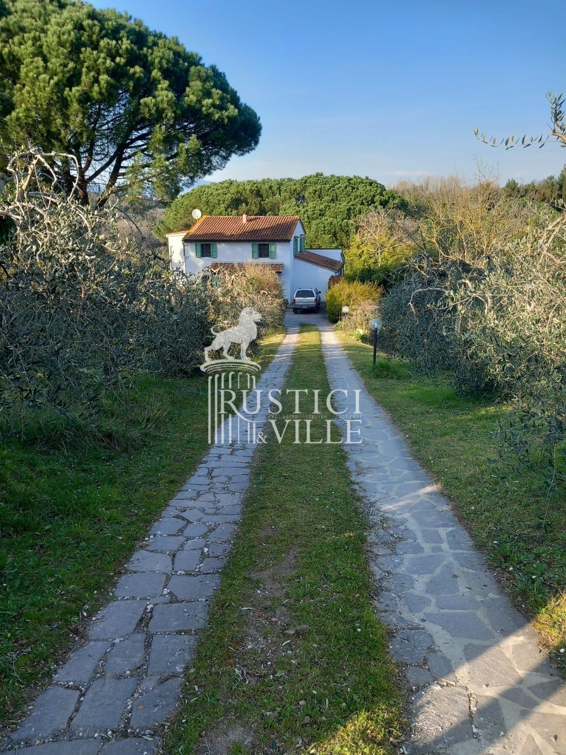 Azienda agricola a Crespina Lorenzana, Toscana, Italia 5 - 15352748