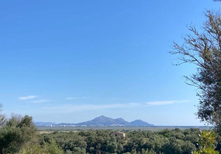 Land in Muro, Balearic Islands, Spain 5 - 15351331