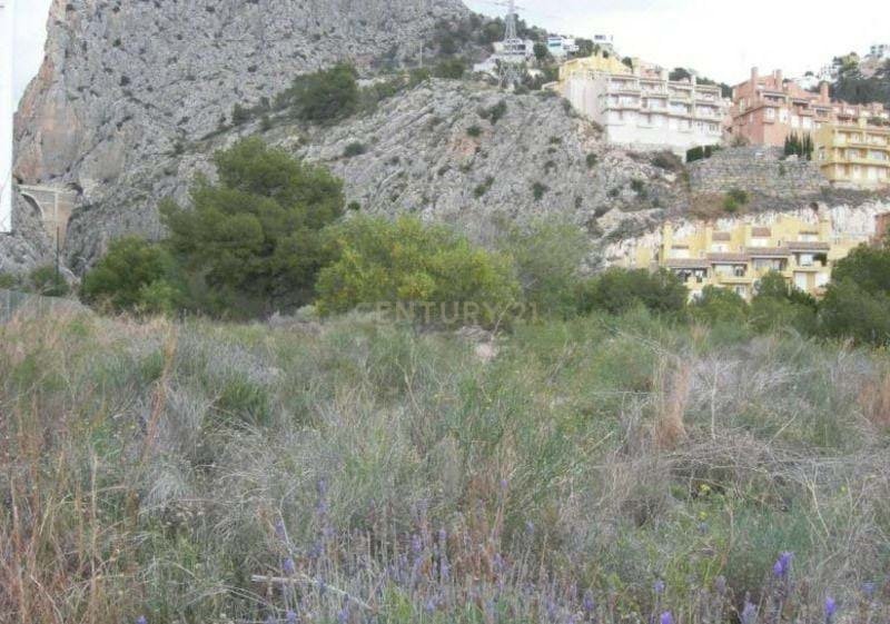 Land in Zona de Mascarat, Valencian Community, Spain 4 - 15019841