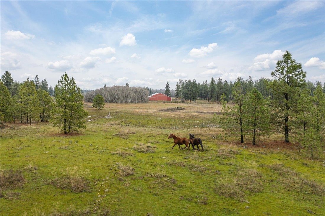 Land in Spangle, Washington, United States 2 - 15351671