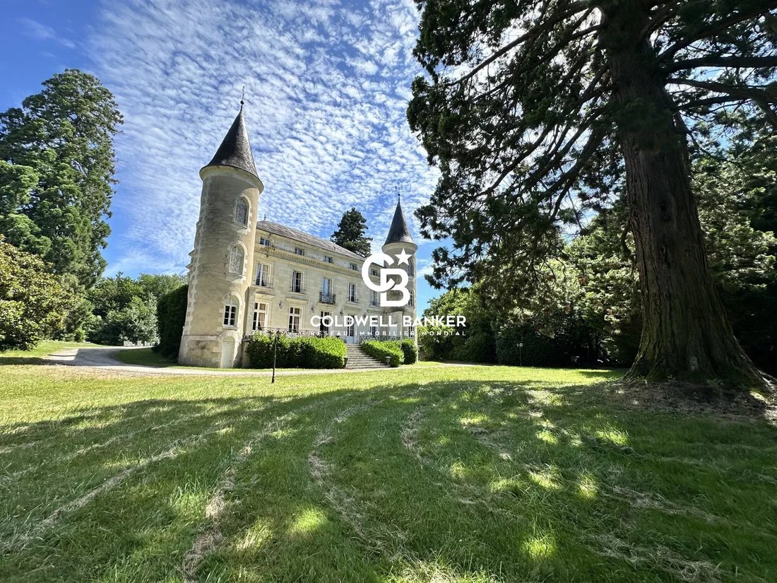 Castle in Tournon-Saint-Pierre, Centre-Val de Loire, France 1 - 15354878