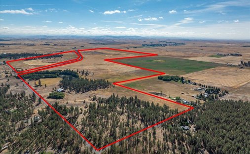 Land in Spangle, Washington, United States 1