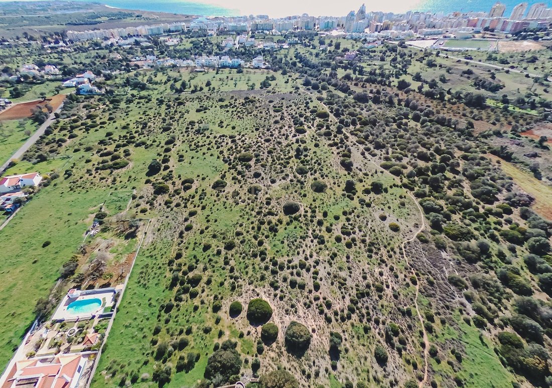 Farm Ranch in Armacao de Pera, Algarve, Portugal 4 - 13644739