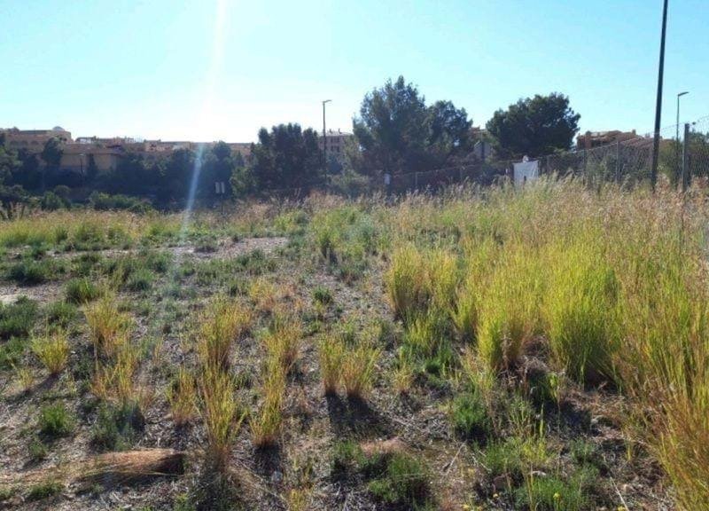 Land in Zona de Mascarat, Valencian Community, Spain 2 - 15019841