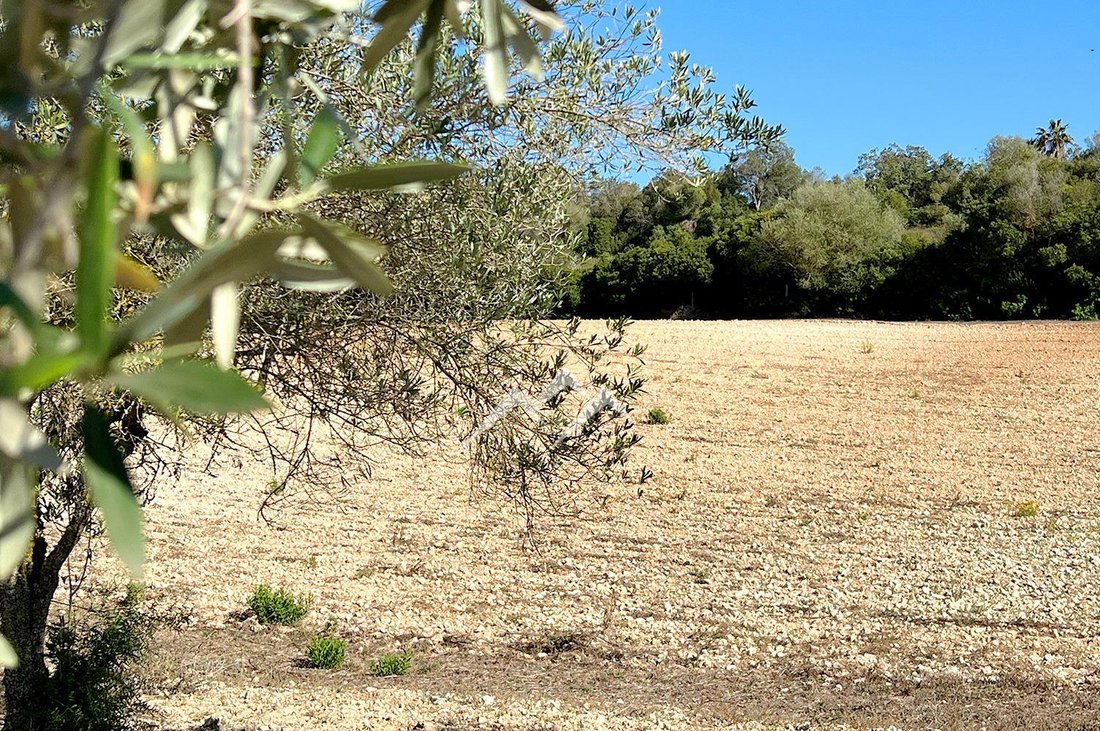 Finca in Sant Joan, Balearic Islands, Spain 4 - 15354396