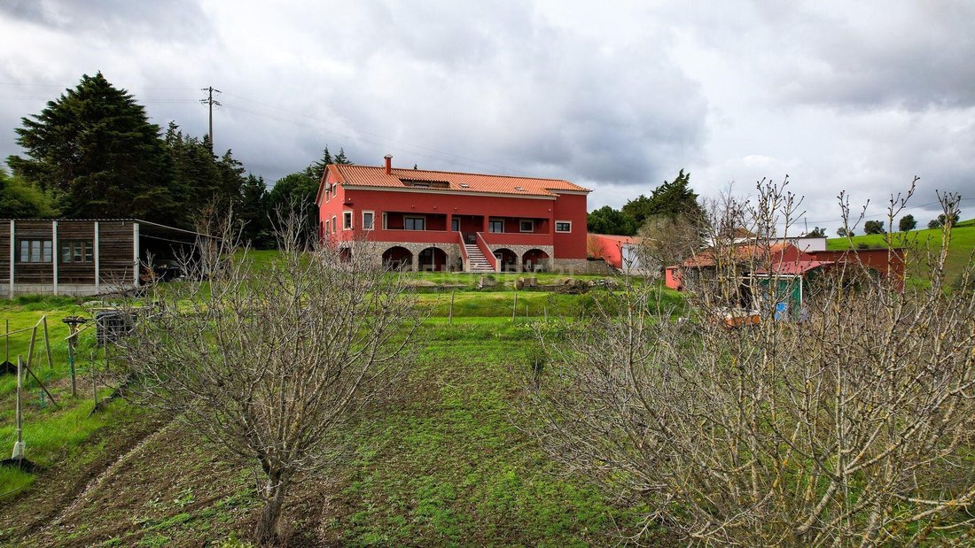 Villa in Pereiro de Palhacana, Lisbon, Portugal 3 - 15265775