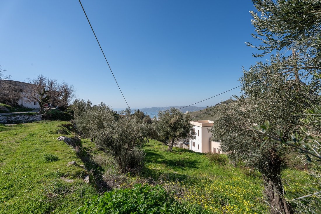 Land in Euboea, Thessaly and Central Greece, Greece 4 - 15359564