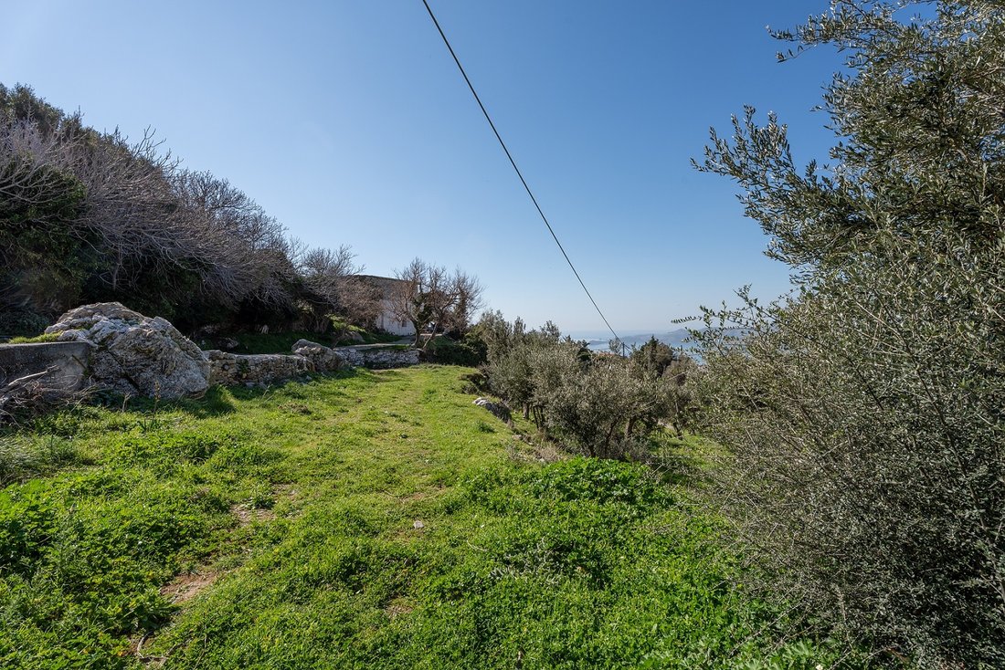Land in Euboea, Thessaly and Central Greece, Greece 3 - 15359564