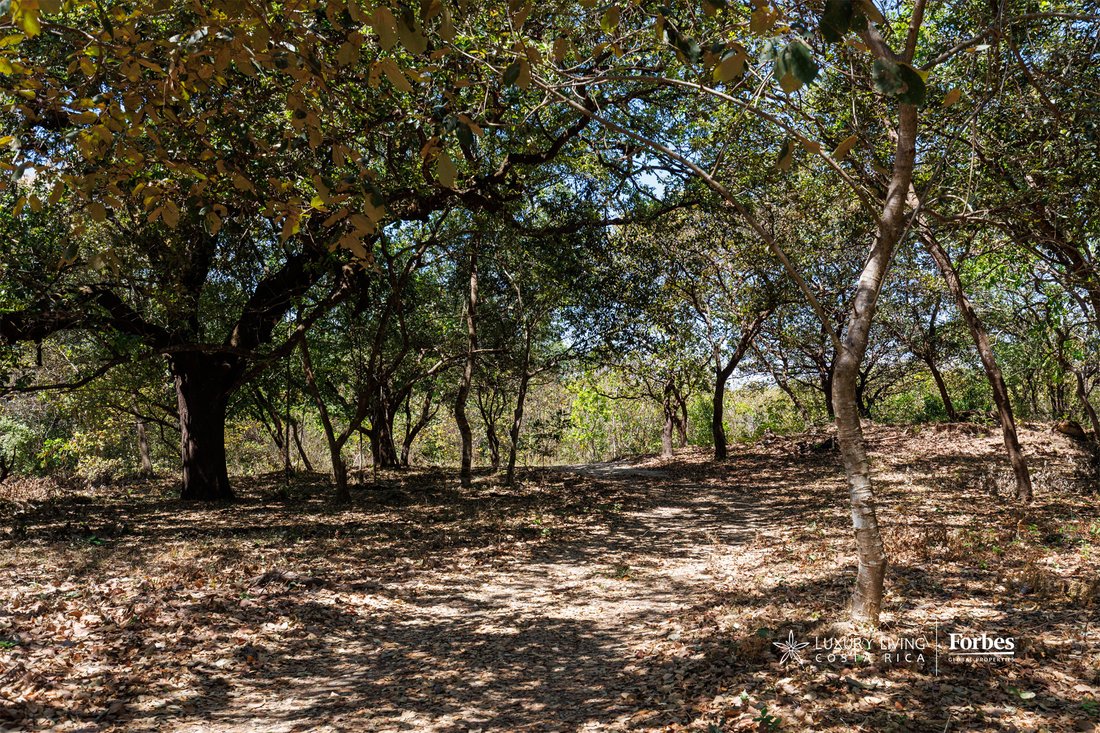 Land in Liberia, Guanacaste Province, Costa Rica 2 - 15361080