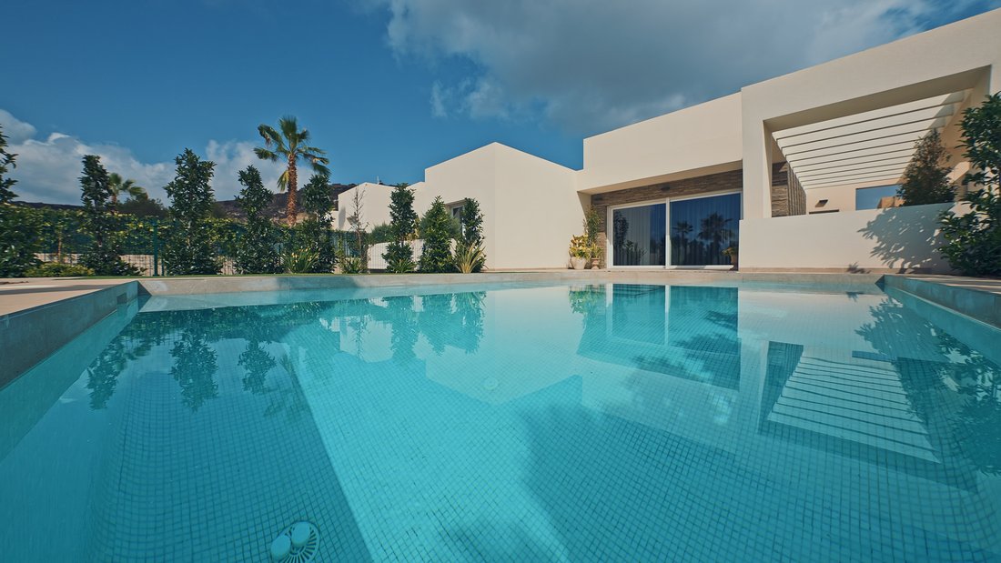 Villa in Algorfa, Valencian Community, Spain 3 - 15363701