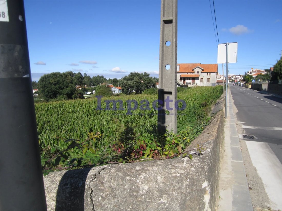 Land in Vila de Cucujaes, Aveiro District, Portugal 3 - 15256046