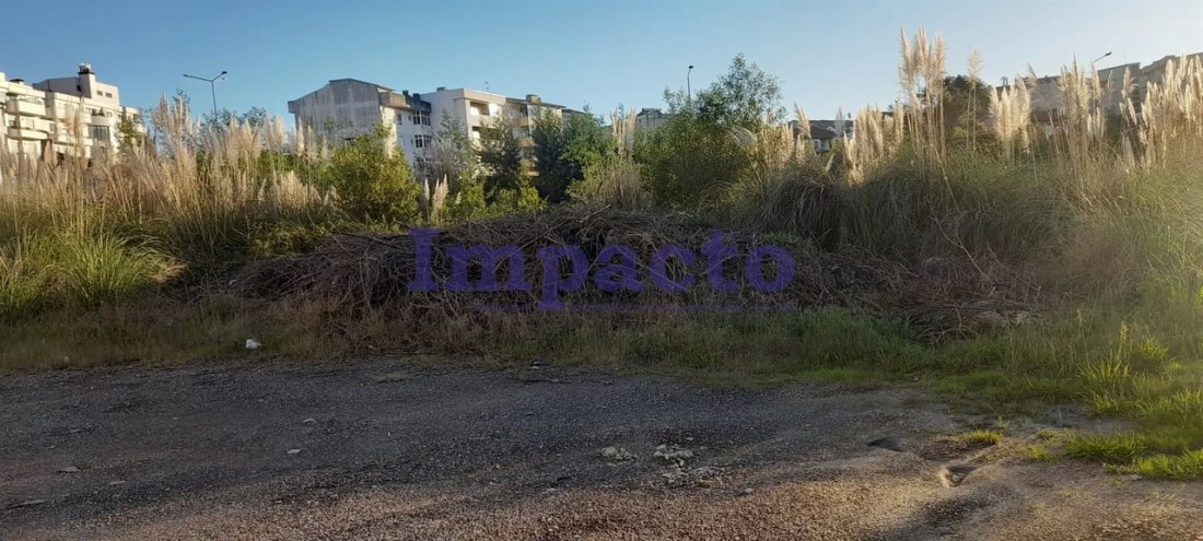 Land in Oliveira de Azemeis, Santiago de Riba-Ul, Ul, Macinhata da Seixa e Madail, Aveiro, Portugal 1 - 15256052