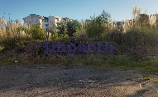 Land in Oliveira de Azemeis, Santiago de Riba-Ul, Ul, Macinhata da Seixa e Madail, Aveiro District, Portugal 1