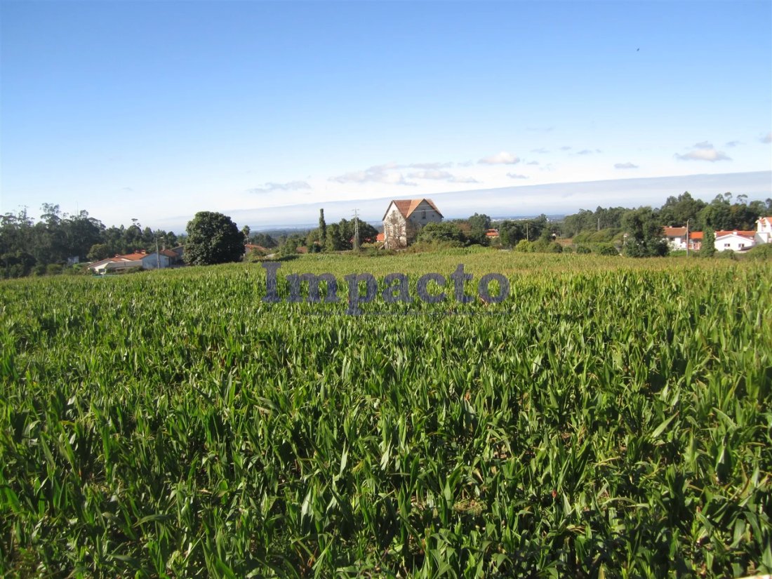 Land in Vila de Cucujaes, Aveiro District, Portugal 4 - 15256046