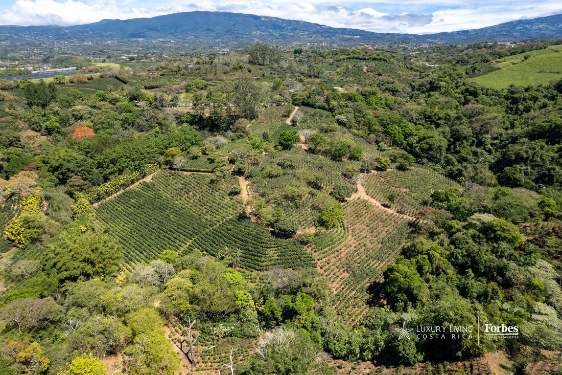 Land in San Pedro de Poás, Guanacaste Province, Costa Rica 5 - 15367094