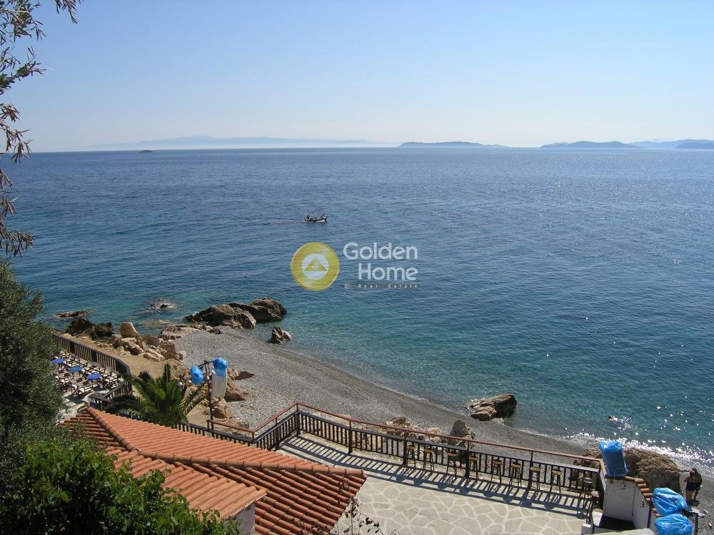 Land in Skopelos, Thessaly and Central Greece, Greece 5 - 15369637