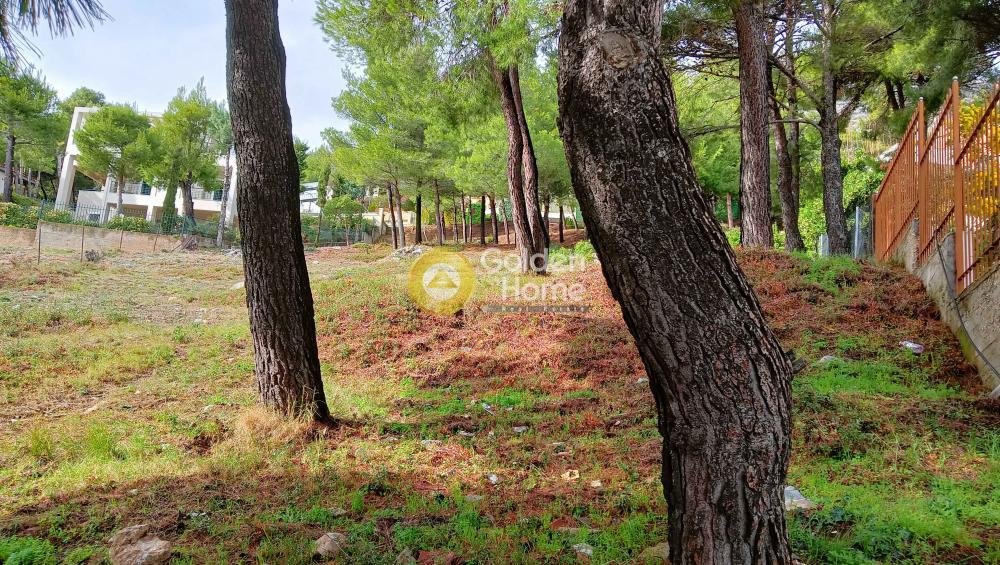 Land in Thrakomakedones, Attica, Greece 3 - 15369649